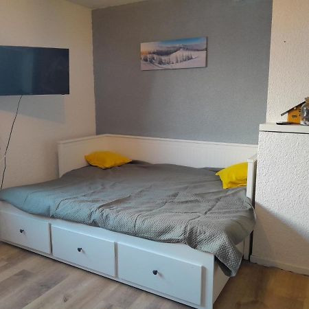 Studio Du Lac Bleu Apartment Morillon Luaran gambar